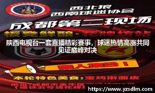 陕西电视台一套直播精彩赛事，球迷热情高涨共同见证巅峰对决
