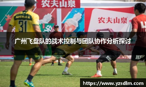 XK星空体育官网