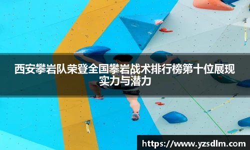 XK星空体育官网