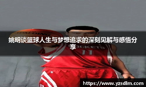 XK星空体育官网