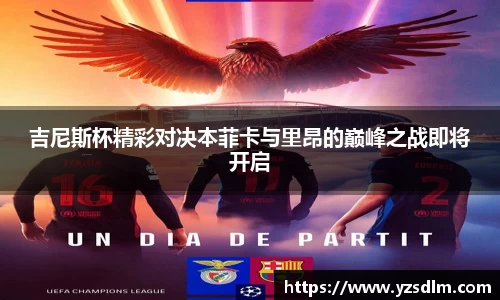 XK星空体育官网