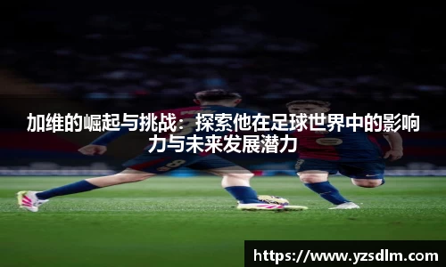 XK星空体育APP
