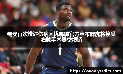 XK星空体育平台