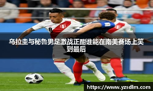 XK星空体育下载