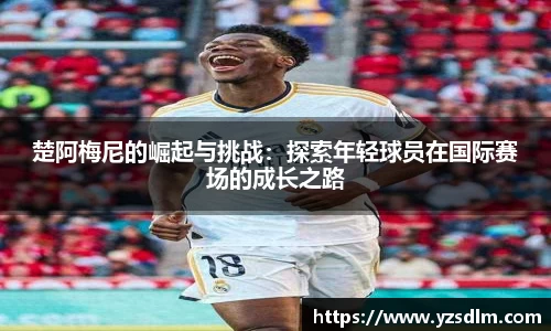 XK星空体育平台