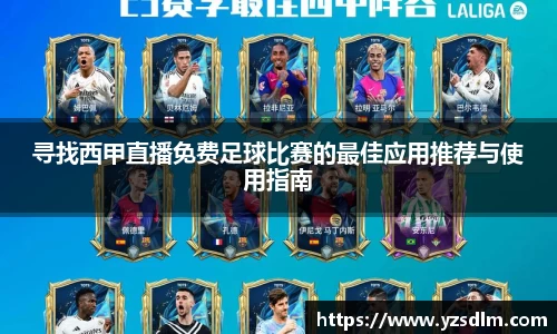 XK星空体育APP