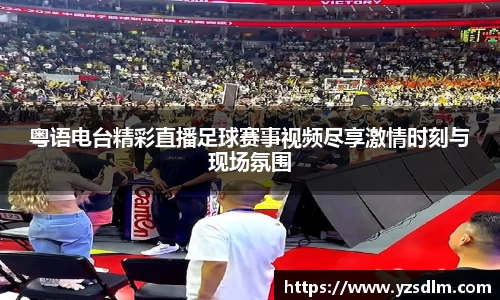 XK星空体育APP